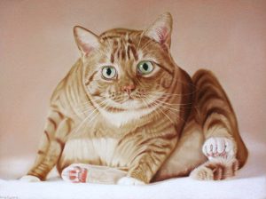 Pasteltekening, voorbeeldfoto door dier-en-fotografie.nl