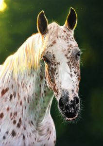 Pasteltekening, voorbeeldfoto door Nikki de kerf