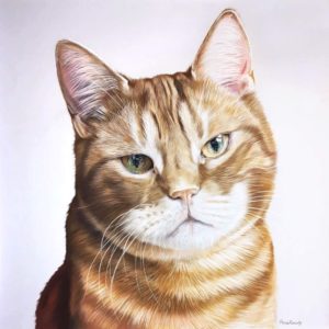 Dexter, Pastel, 70x70