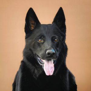 Pasteltekening, voorbeeldfoto Merel Koole fotografie