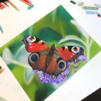 Tekening: vlinder