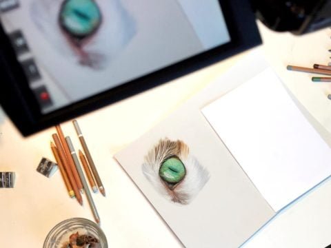 31961852_1806157766107332_1338854482846416896_o