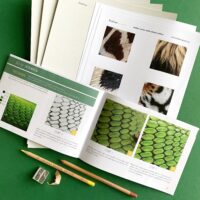 Lespakket verdiepingscursus wilde dierenvachten met pastel