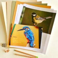 Lespakket online cursus vogels tekenen met pastelpotlood