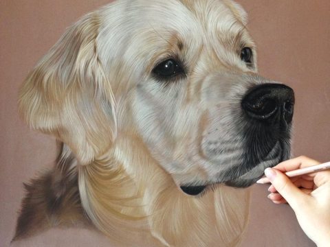 Opdracht, 2016, pastel, 60×80