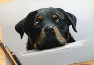 IMG_1740closeup