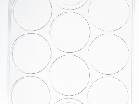 tray10