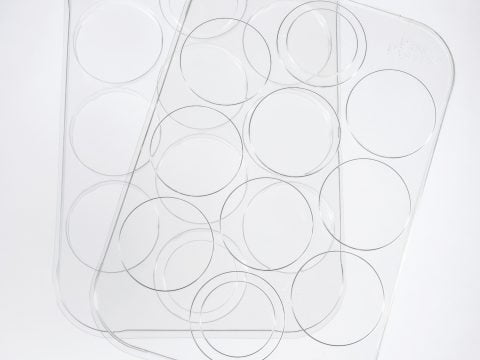 tray10.