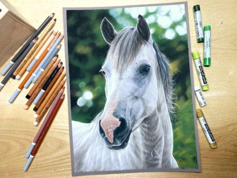 paard2