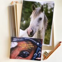 Lespakket online cursus paarden met pastel