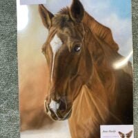 Tekening: Paardenportret