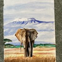 Tekening: Olifant