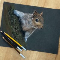 Online atelier lidmaatschap realistisch tekenen