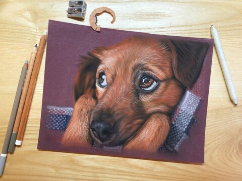 hondje