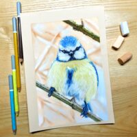 Originele tekening: Pimpelmees