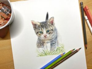image_123650291