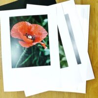 Lespakket proefcursus Papaver