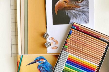 Materialenpakket voor de online cursus vogels tekenen met pastel