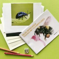 Lespakket online basiscursus tekenen met kleurpotlood