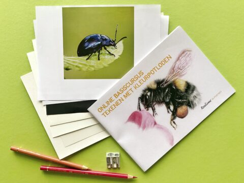 IMG_7782