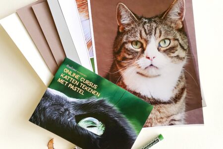 Lespakket online cursus katten met pastel