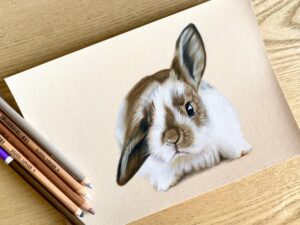 IMG_6200