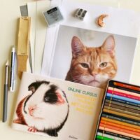 Materialenpakket voor de online cursus huisdieren tekenen met kleurpotlood